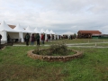 IMG_2462 (Copiar)