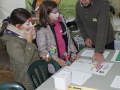 _MG_2453 (Copiar)