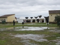 _MG_2459 (Copiar)