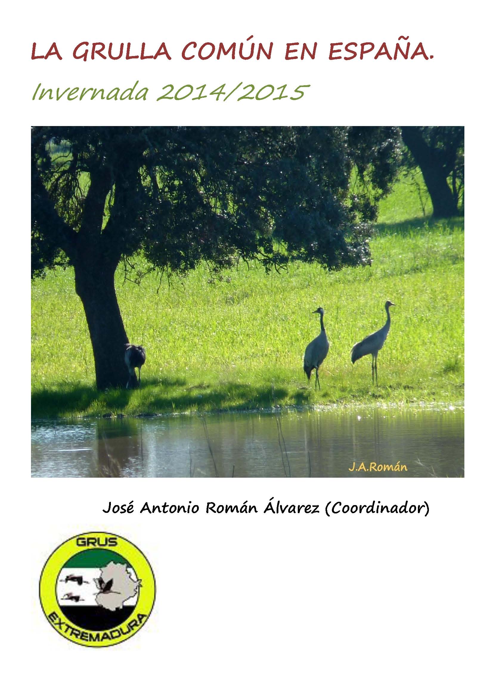 LA GRULLA COMÚN 2014-15